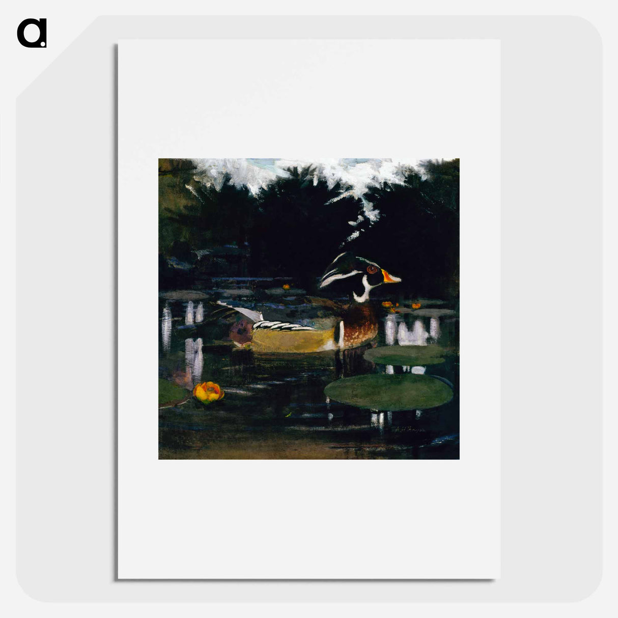 Male Wood Duck in a Forest Pool - アボット ハンダーソン セイヤー Poster.