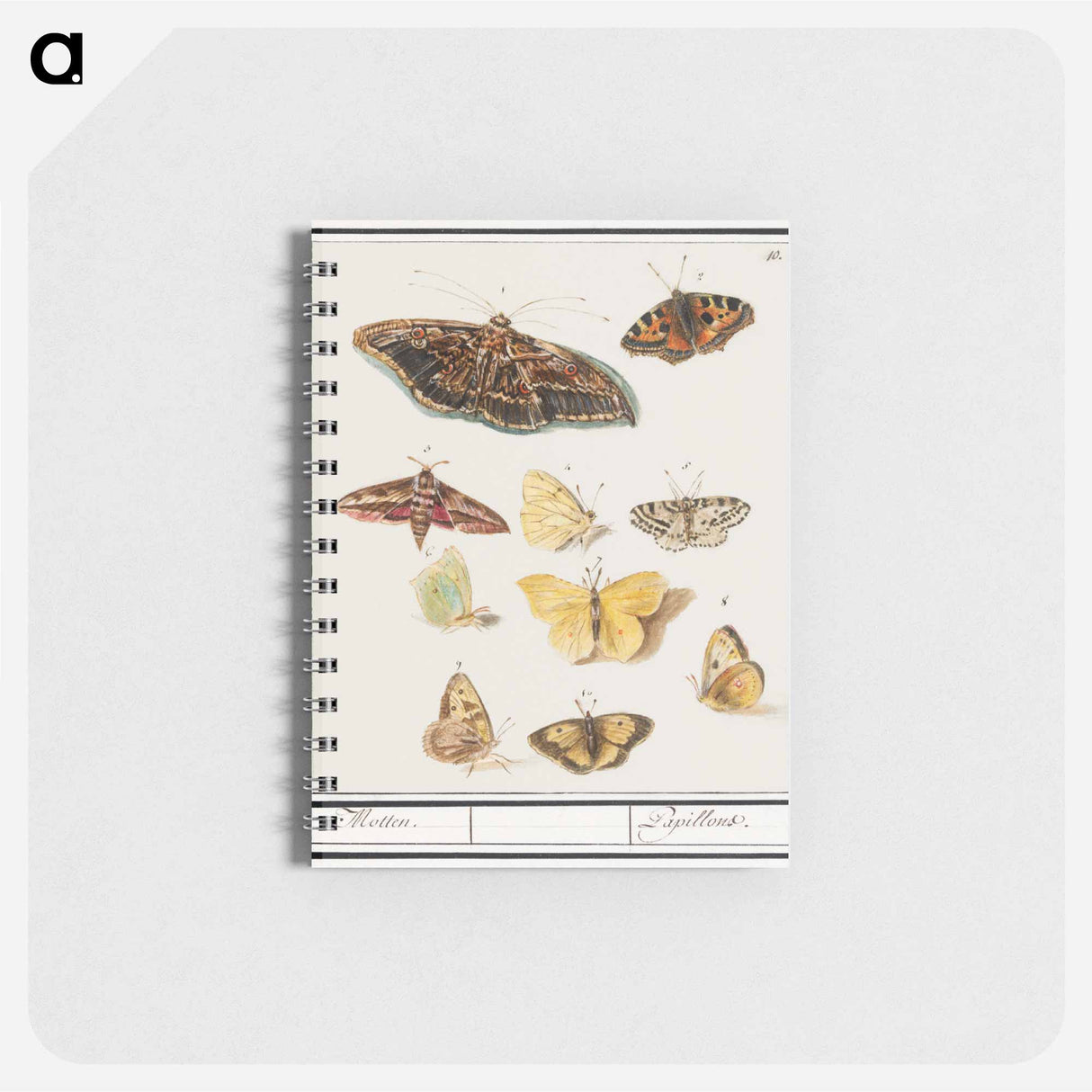 アートメモ帳-Butterflies and moths - アンセルムス ボエティウス デ ブート Memo.