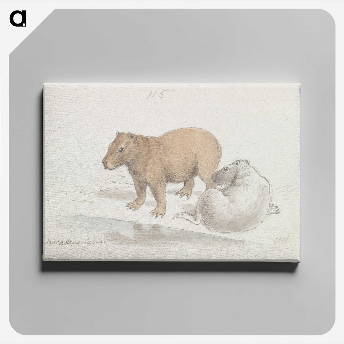 1-41_Charles-Hamilton-Smith_canvas