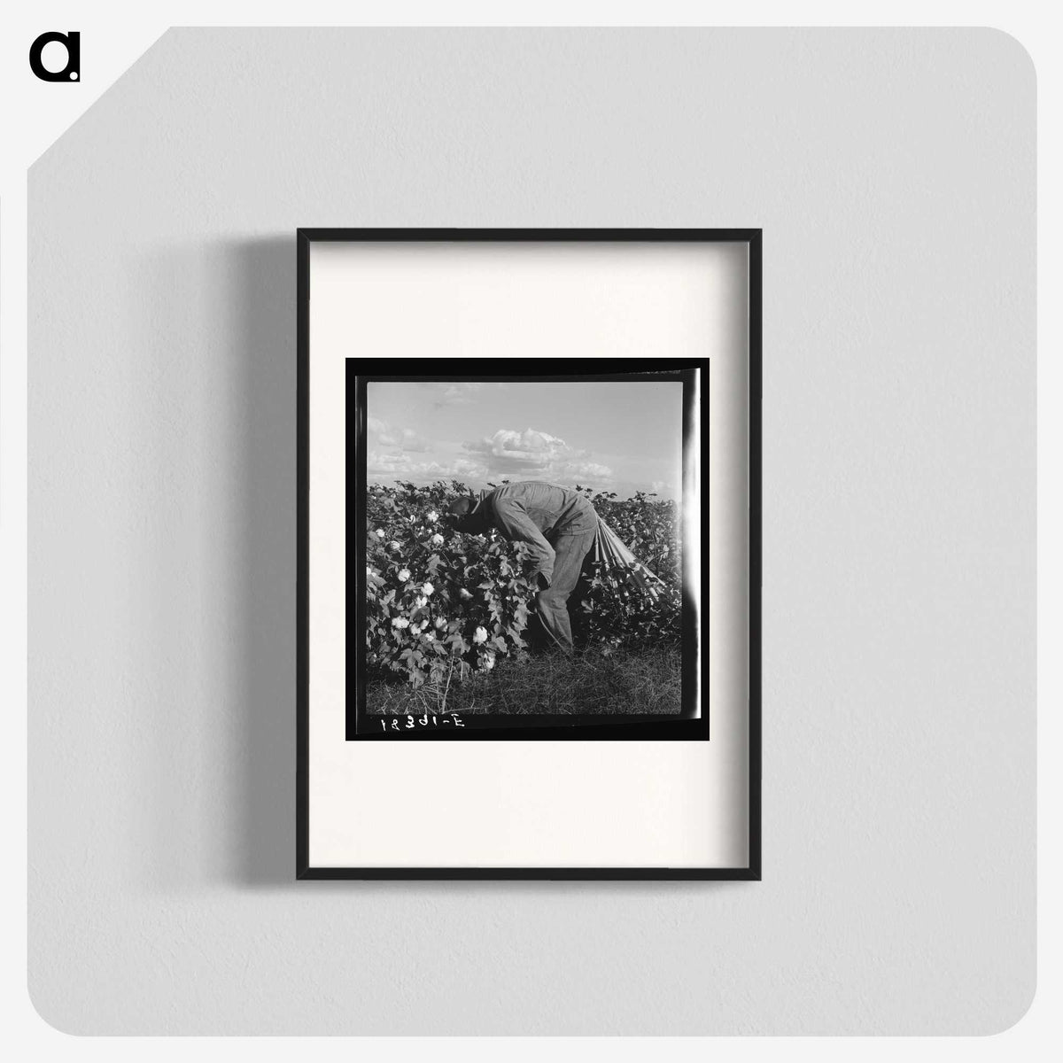 1-41_Dorothea-Lange_blk