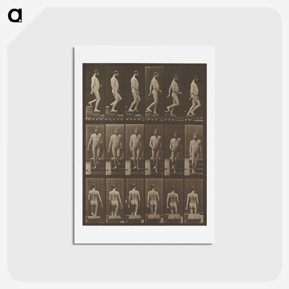 1-41_Eadweard-Muybridge_hagaki