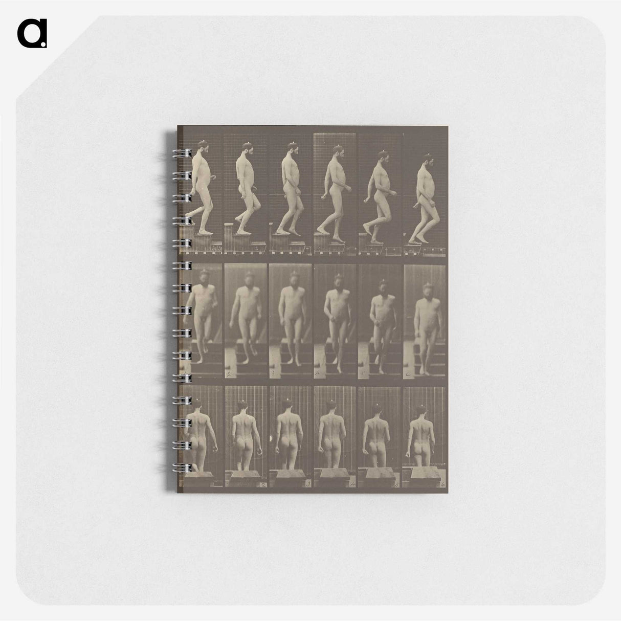 1-41_Eadweard-Muybridge_memo