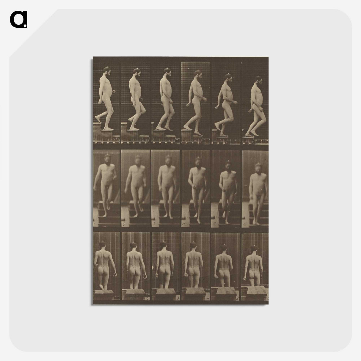 1-41_Eadweard-Muybridge_postcard
