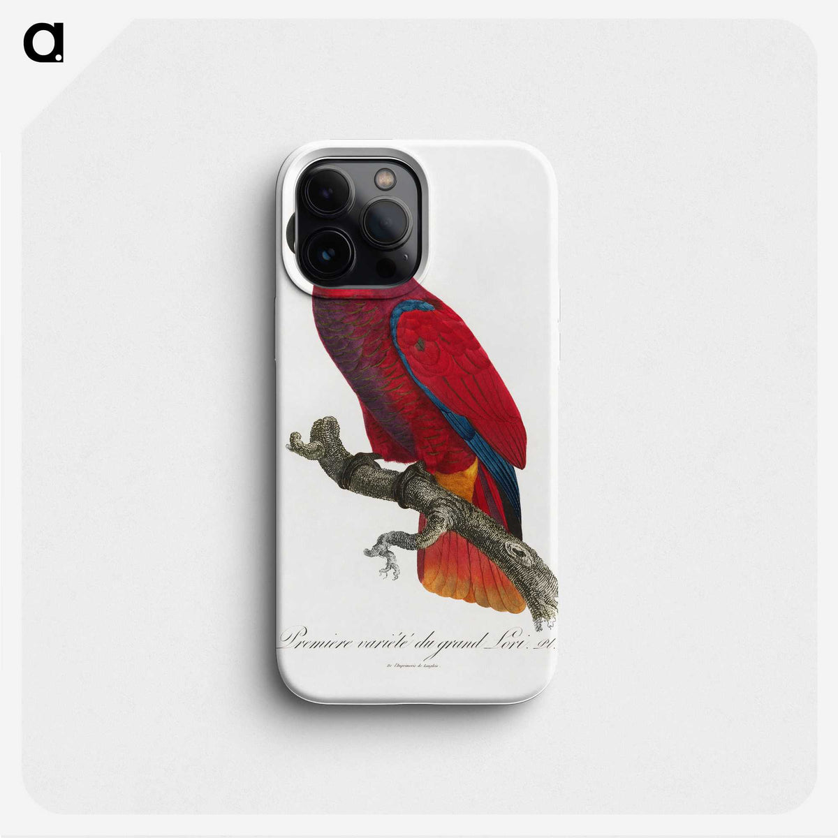 1-41_Francois-Levaillant_phone