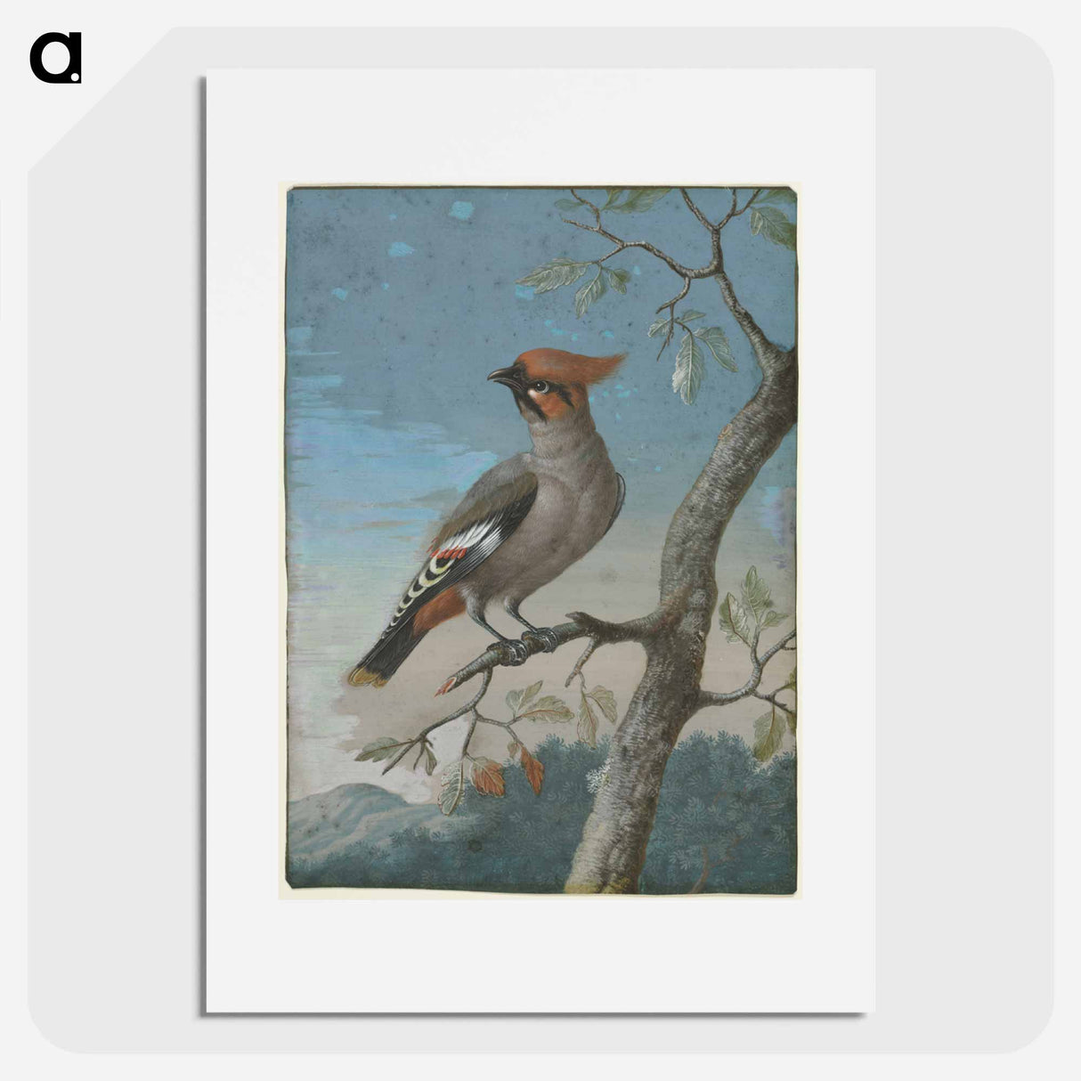 アートポスター-Bird Study
- ジョージ エドワーズ Poster.