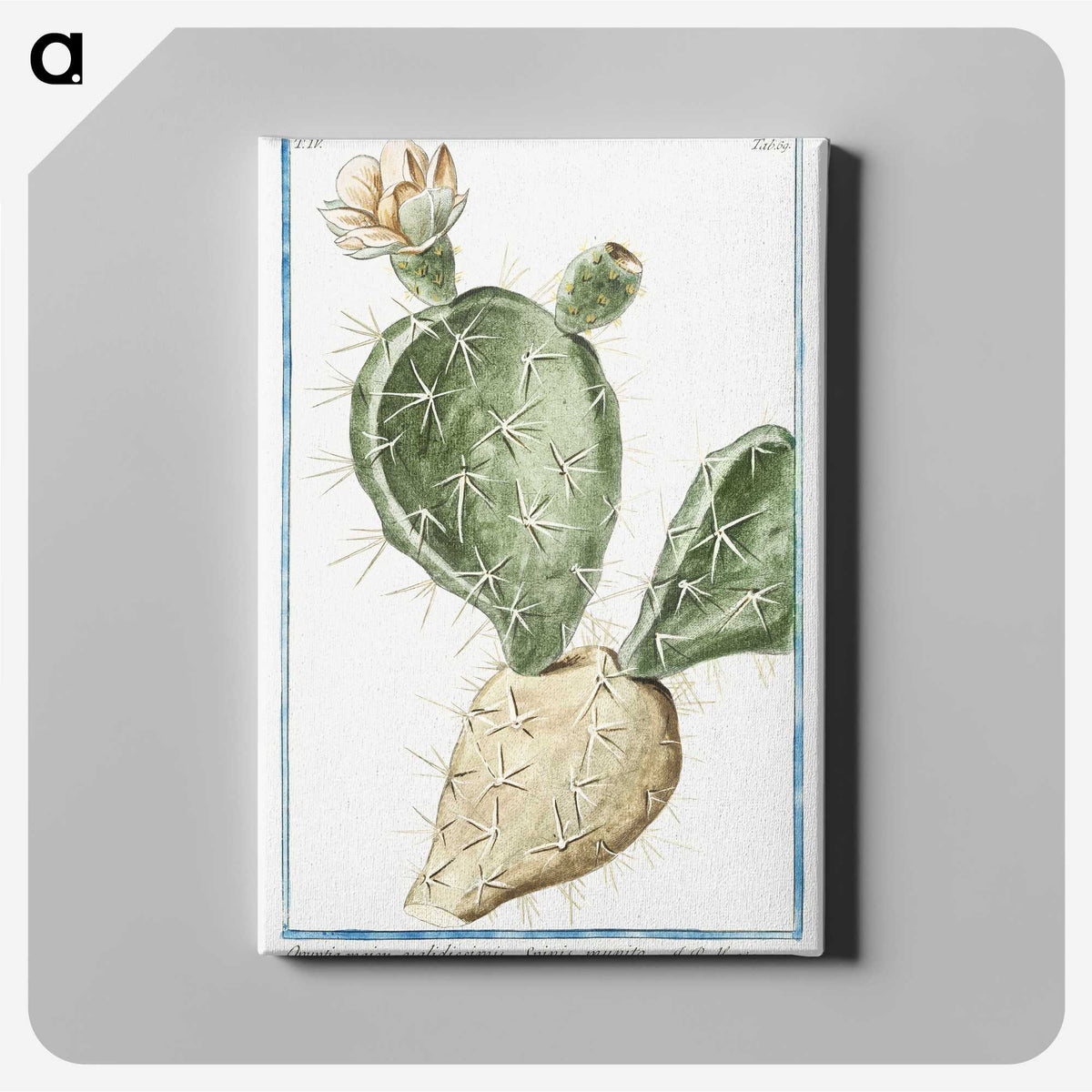 1-41_Hortus-Romanus-Botanical-Plates_canvas