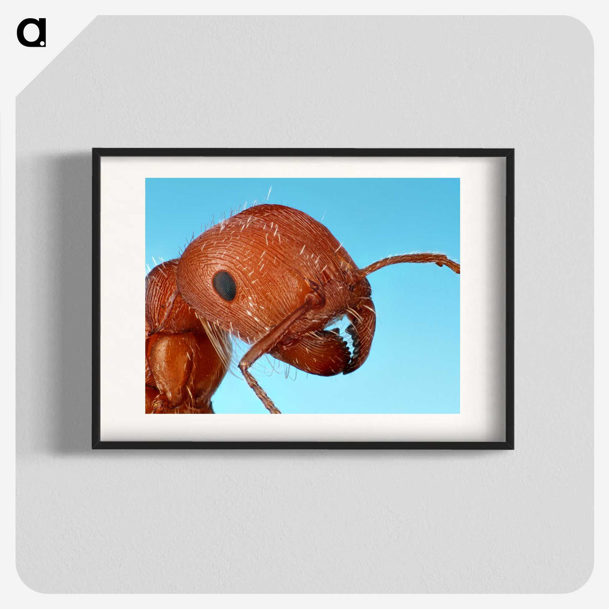 1-41_Insects-Unlocked-Project_blk