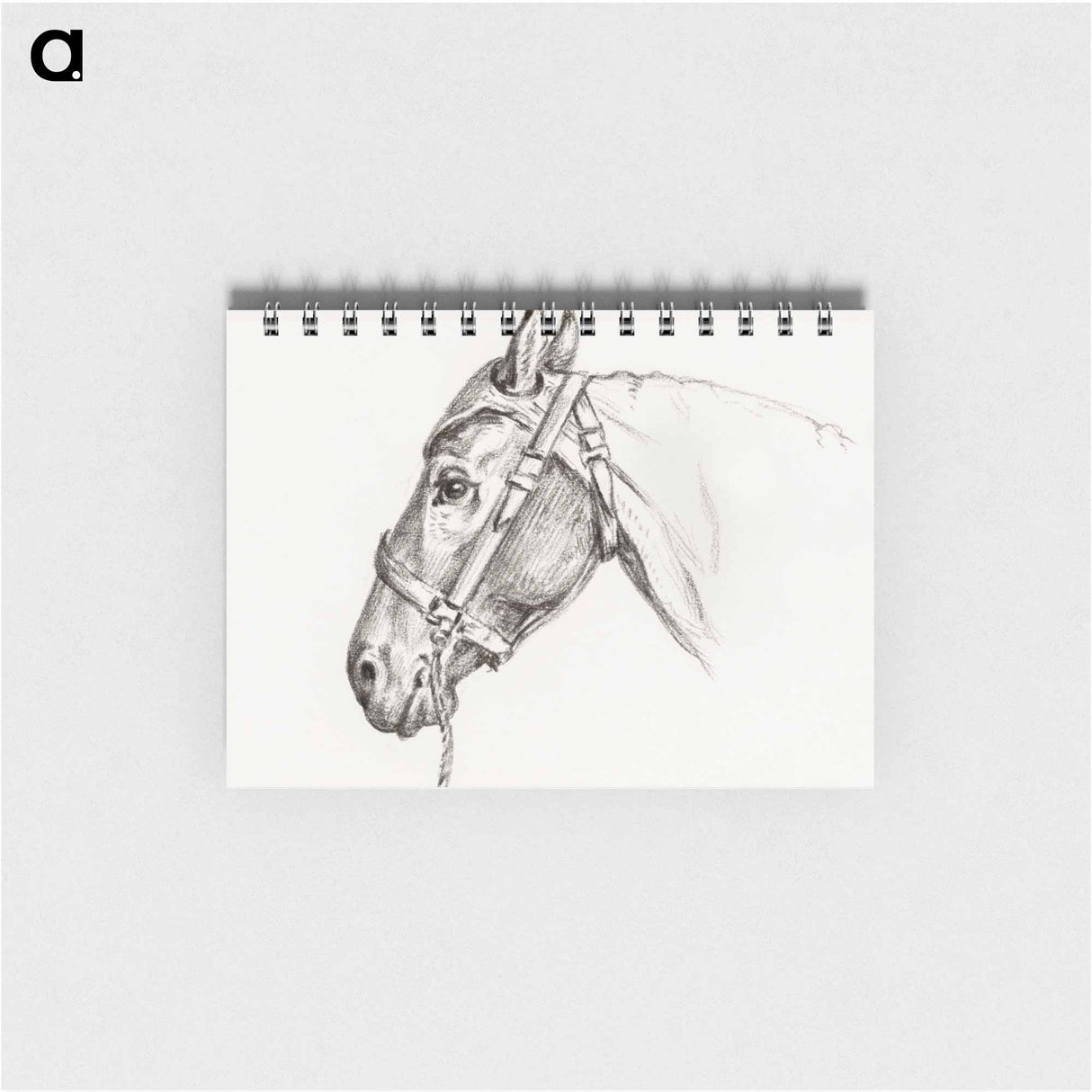 Head of a horse - ジャン ベルナール Memo.
