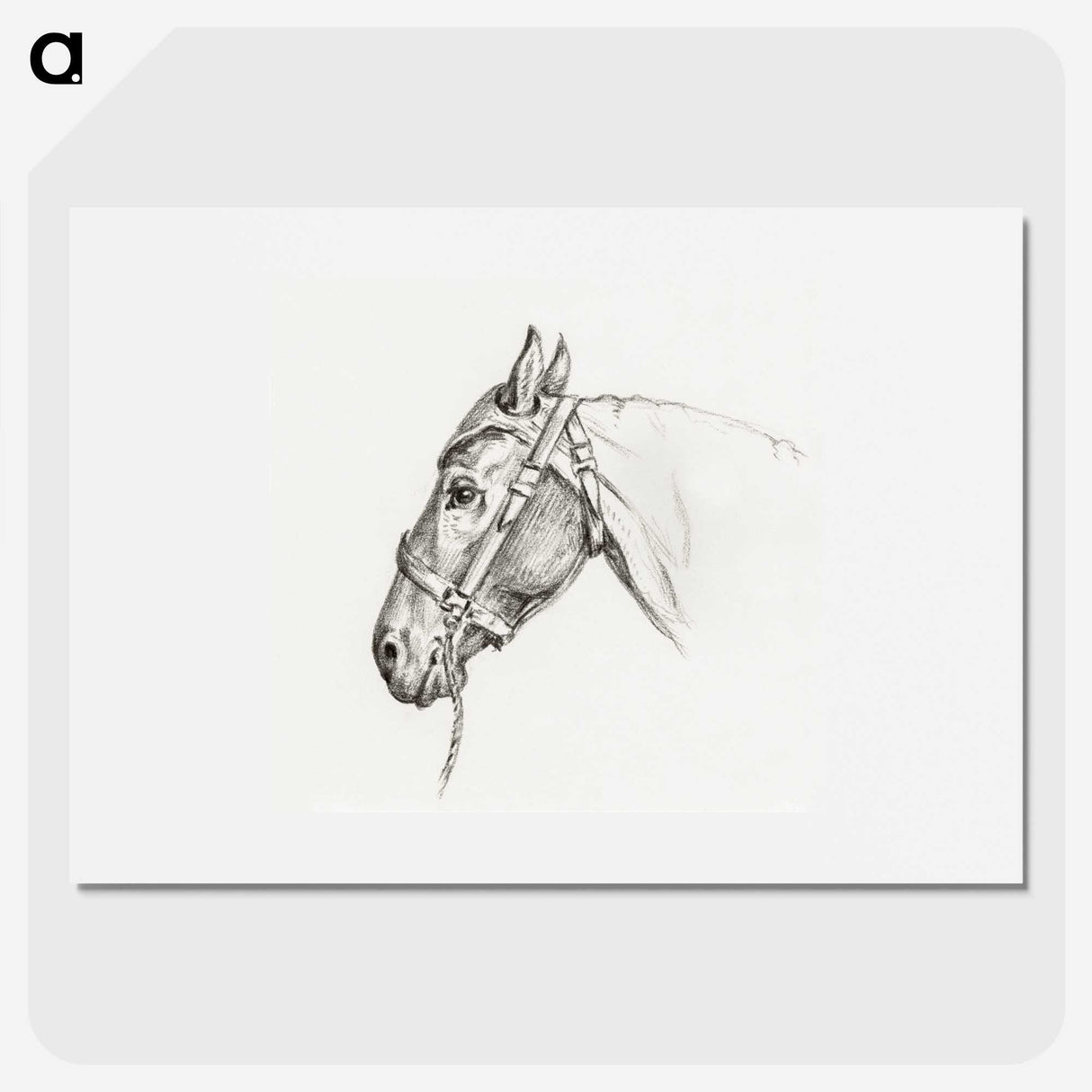 1-41_Jean-Bernard_picture