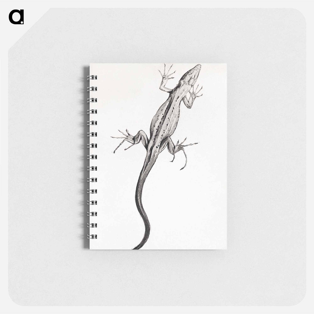 Lizard - ユリー デ フラーハ Memo.