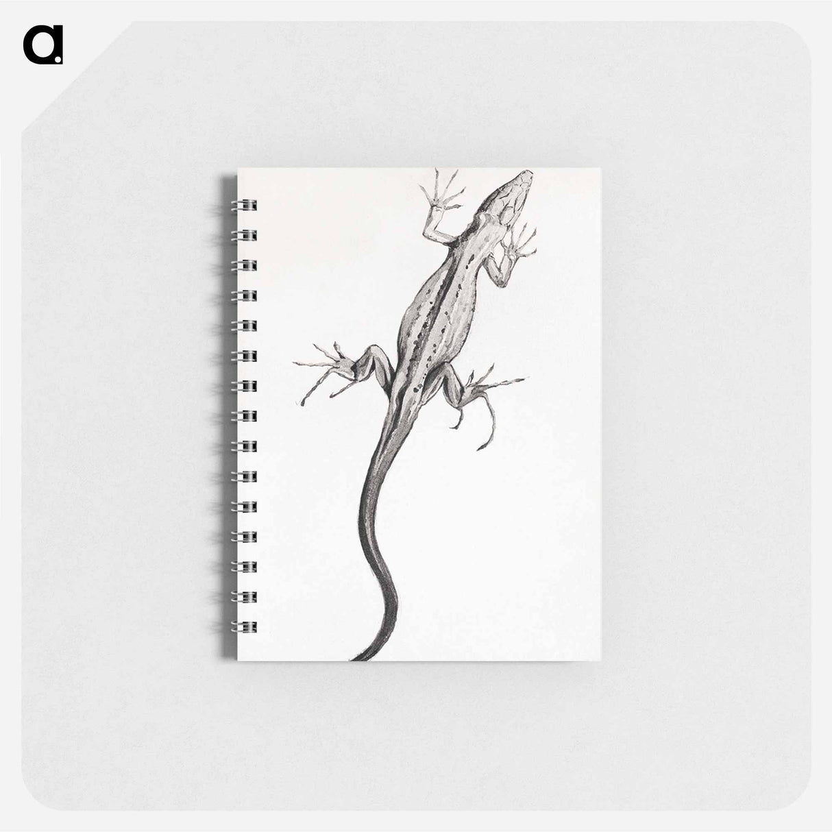 Lizard - ユリー デ フラーハ Memo.