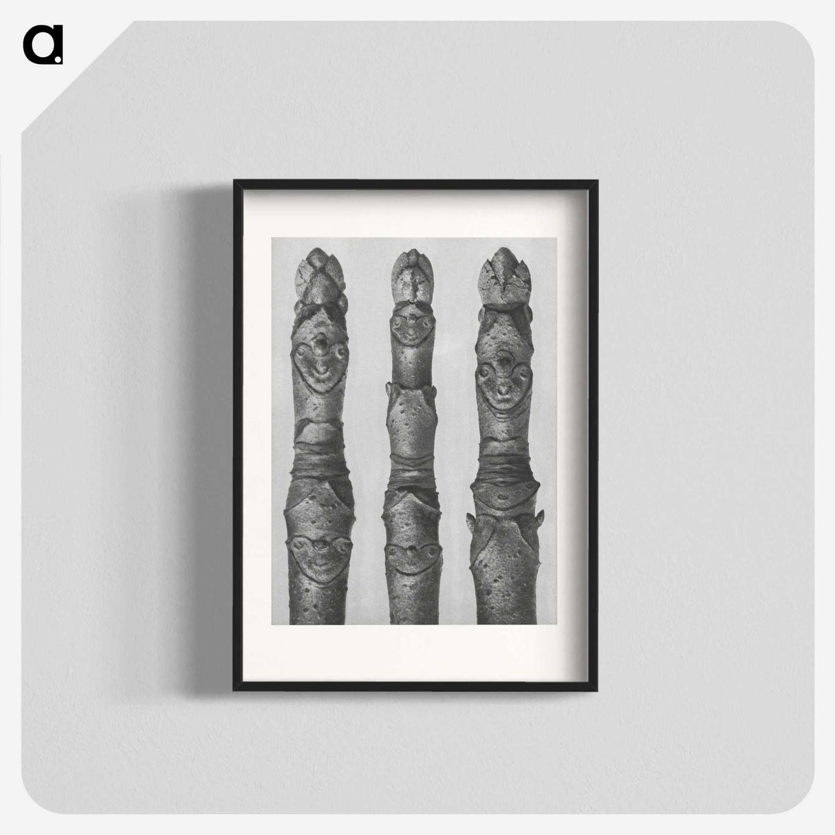 1-41_Karl-Blossfeldt_blk