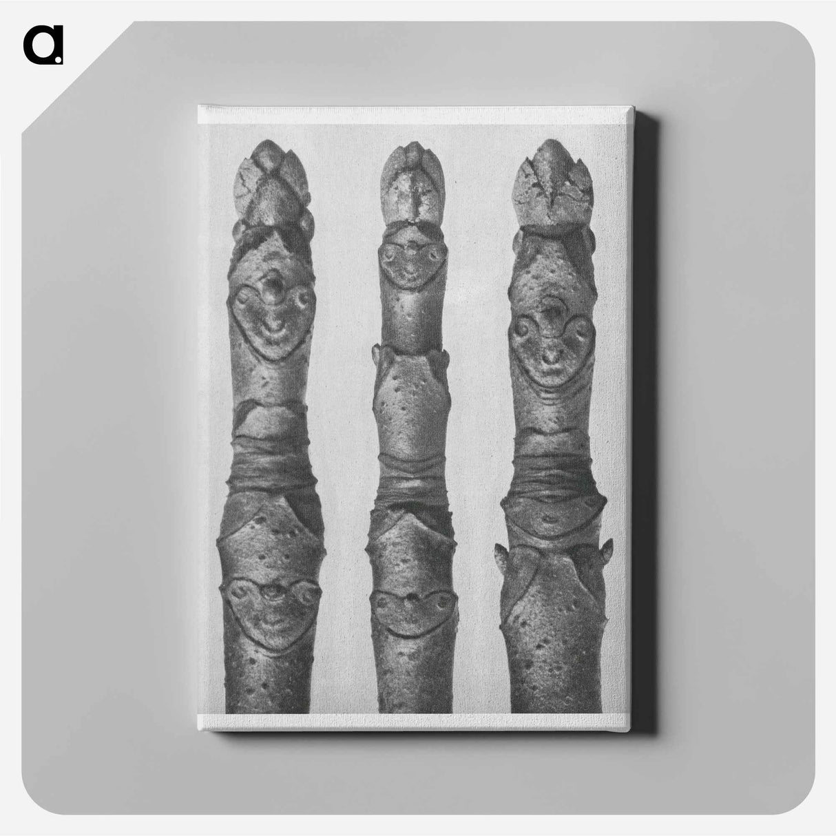 Aesculus parviflora (Horse–Chestnut) young shoots enlarged 12 times - Karl Blossfeldt Canvas.