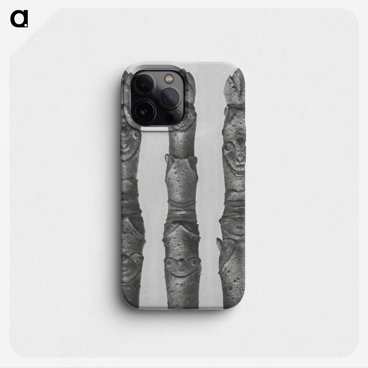 1-41_Karl-Blossfeldt_phone