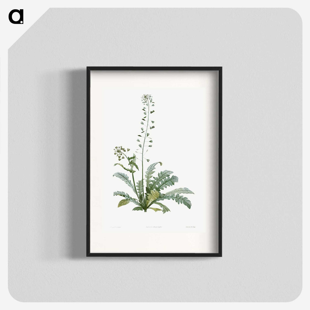 1-41_La-Botanique_blk