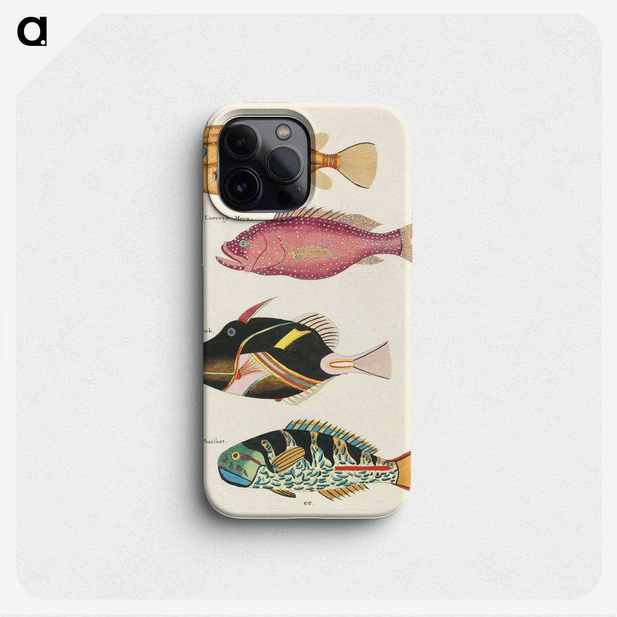 1-41_Louis-Renard_phone