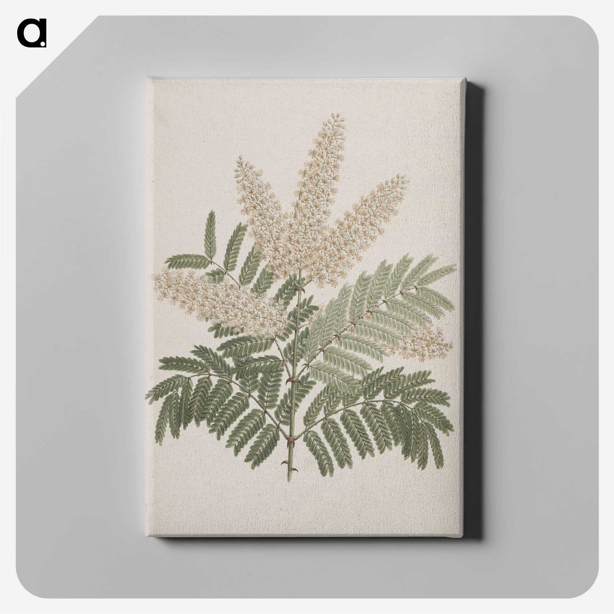 1-41_Luigi-Balugani_canvas