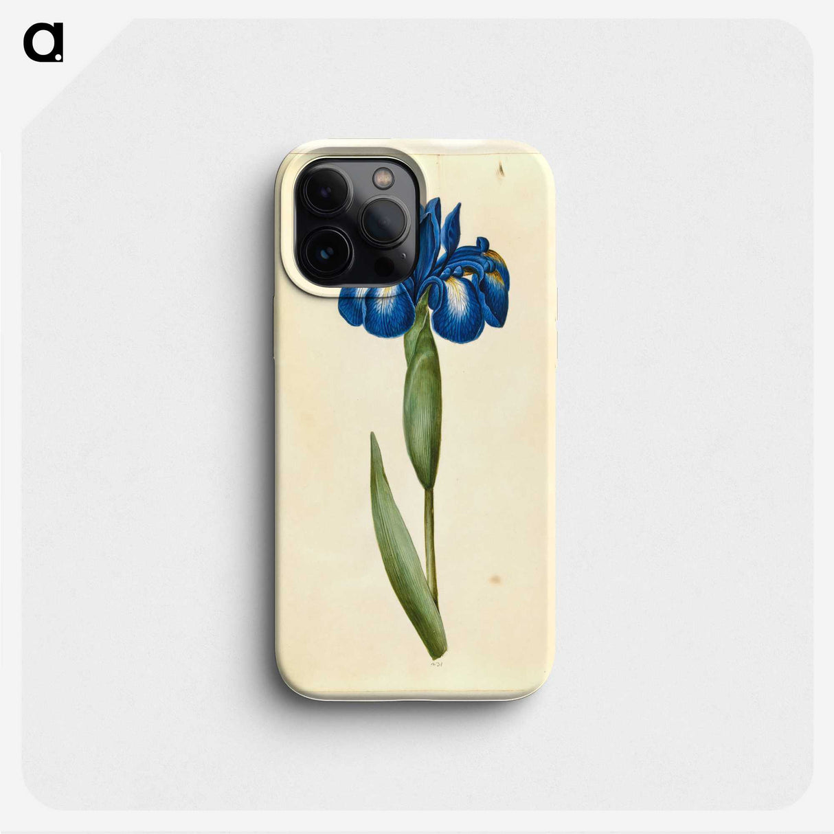 1-41_Maria-Sibylla-Merian_phone