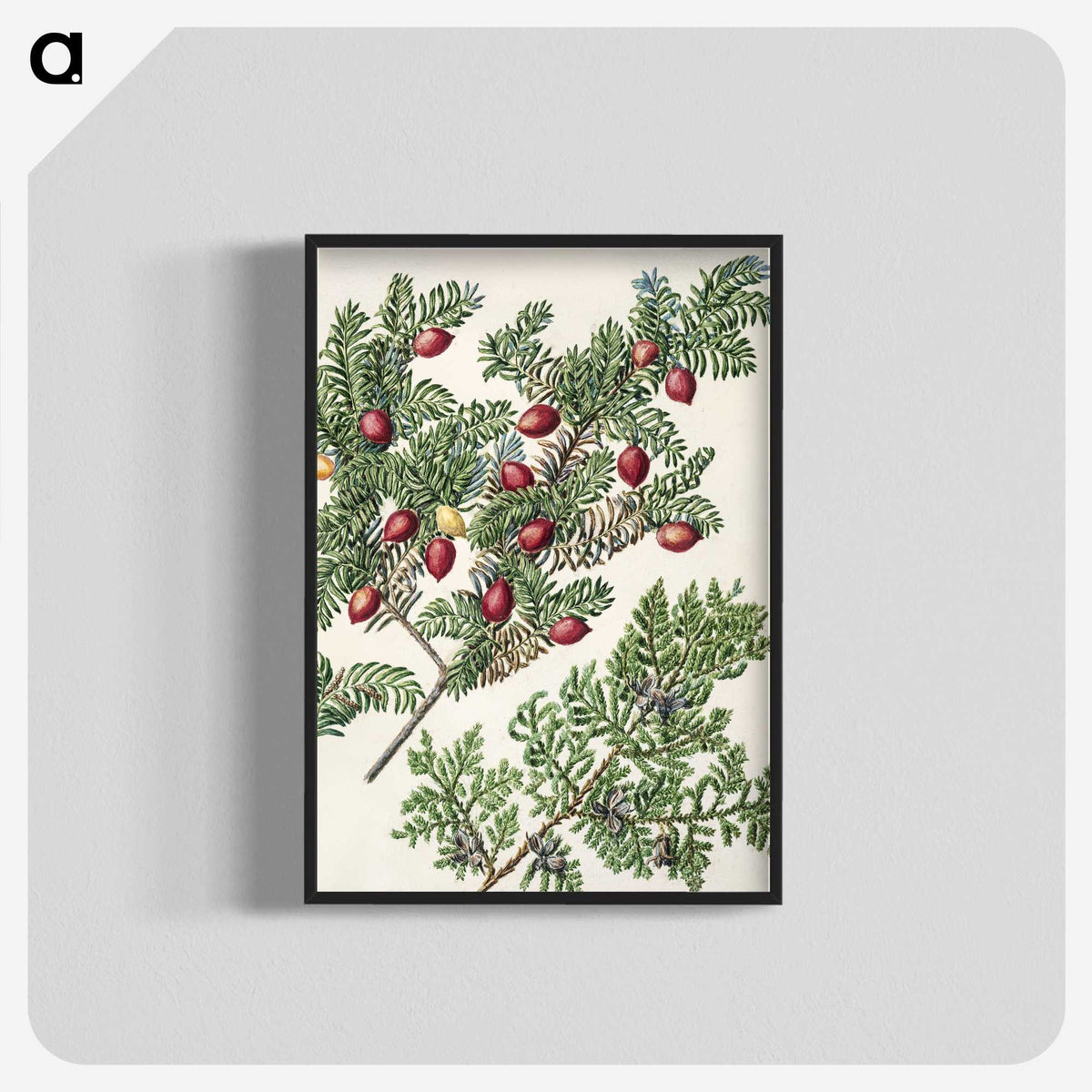 1-41_Native-Flowering-Plants-of-New-Zealand_blk-crop