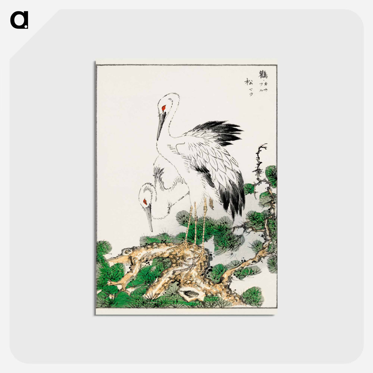 アートポストカード-Stork and Pine Tree
- 鳥類図鑑 Postcard.