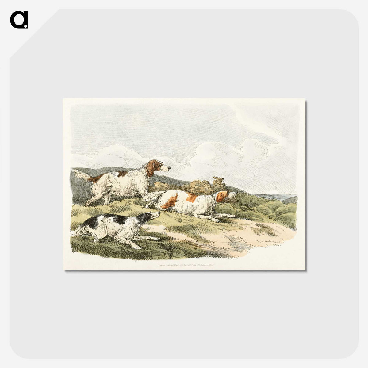 1-41_Sporting-Sketches_postcard
