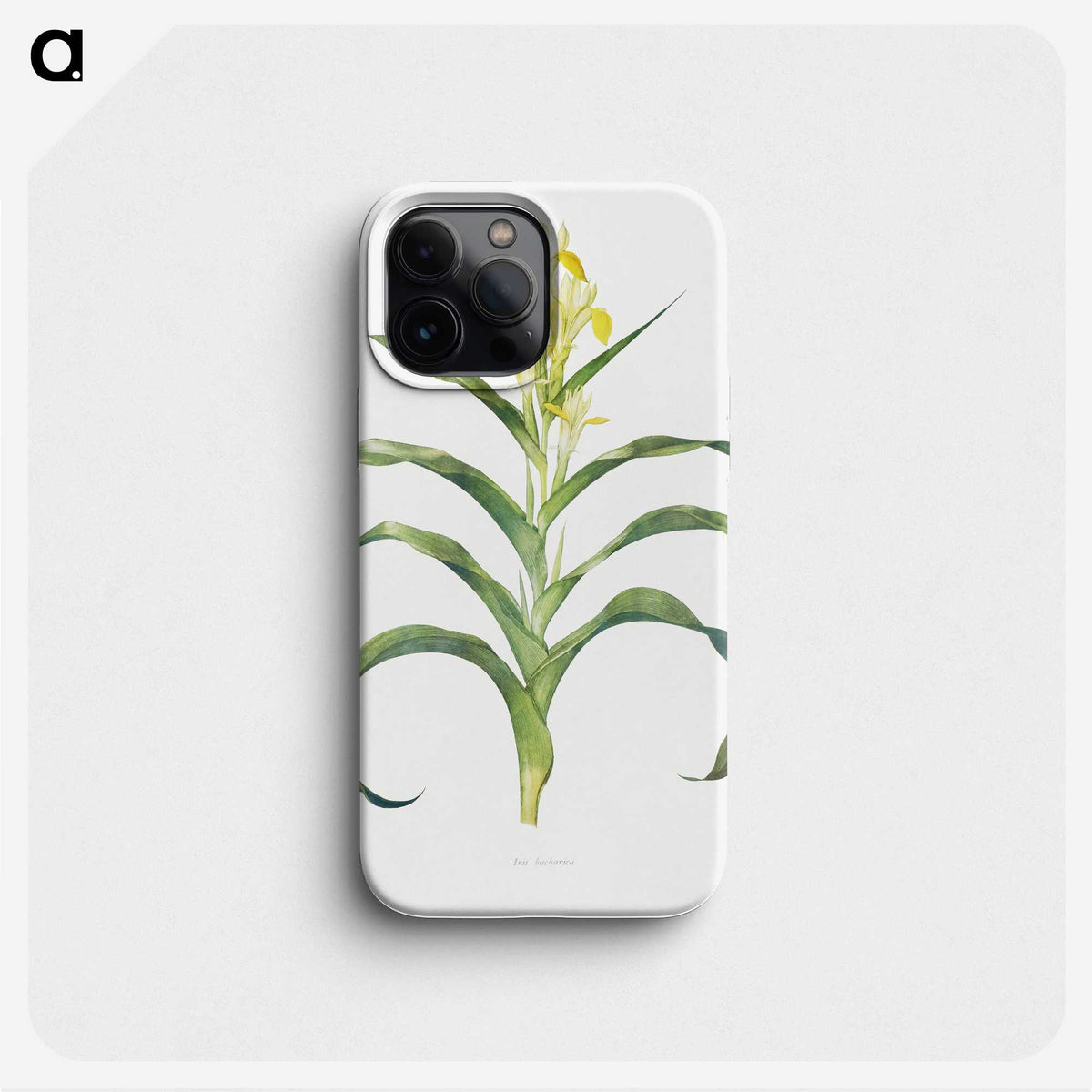 1-41_The-Genus-Iris_phone