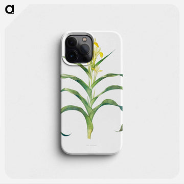 Iris Bucharica from The genus Iris
 - アヤメ属 Phone Case.