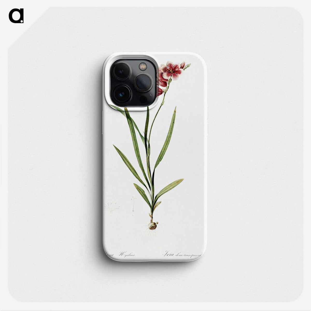 1-41_The-Lilies_phone