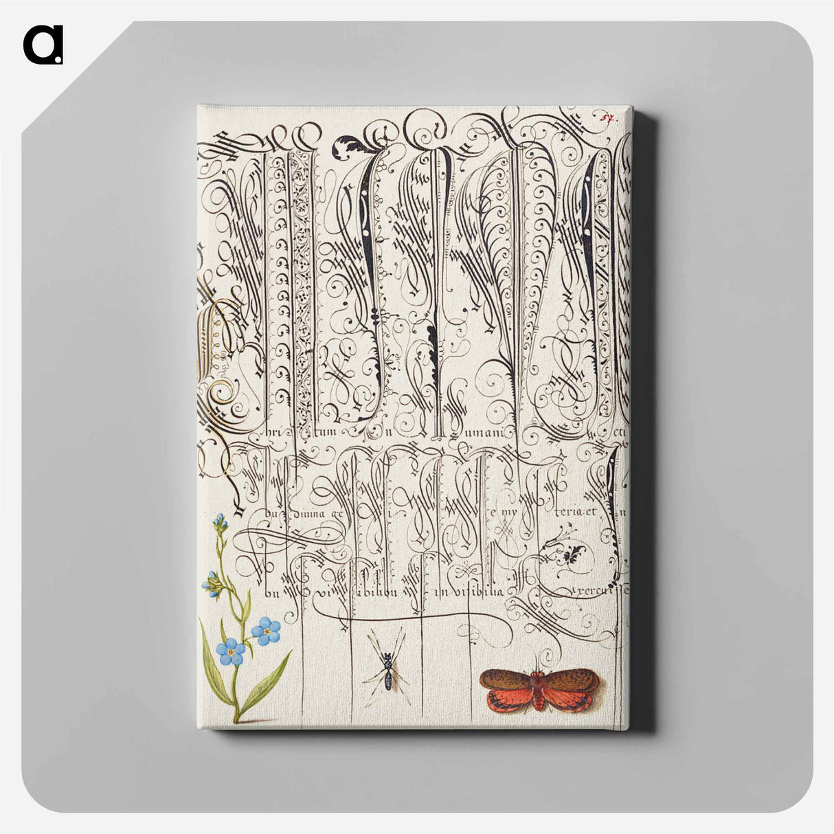 アートパネル-Creeping Forget Me Not, Insect, and Planthopper
- 書道のお手本 Canvas.