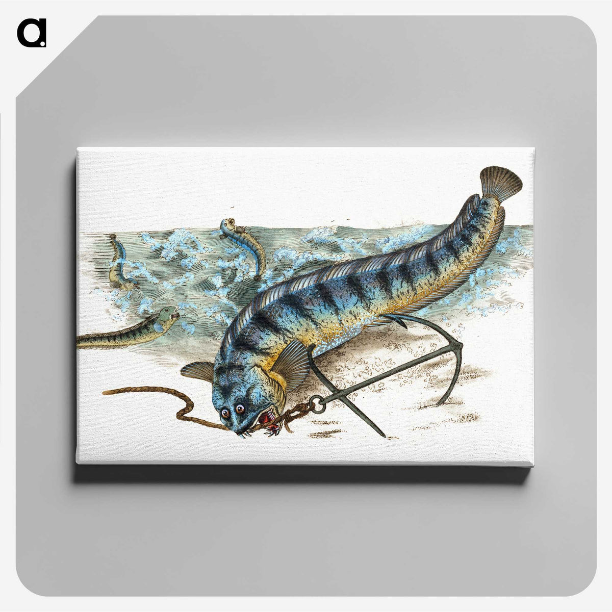 1-41_The-Natural-History-of-British-Fishes_canvas