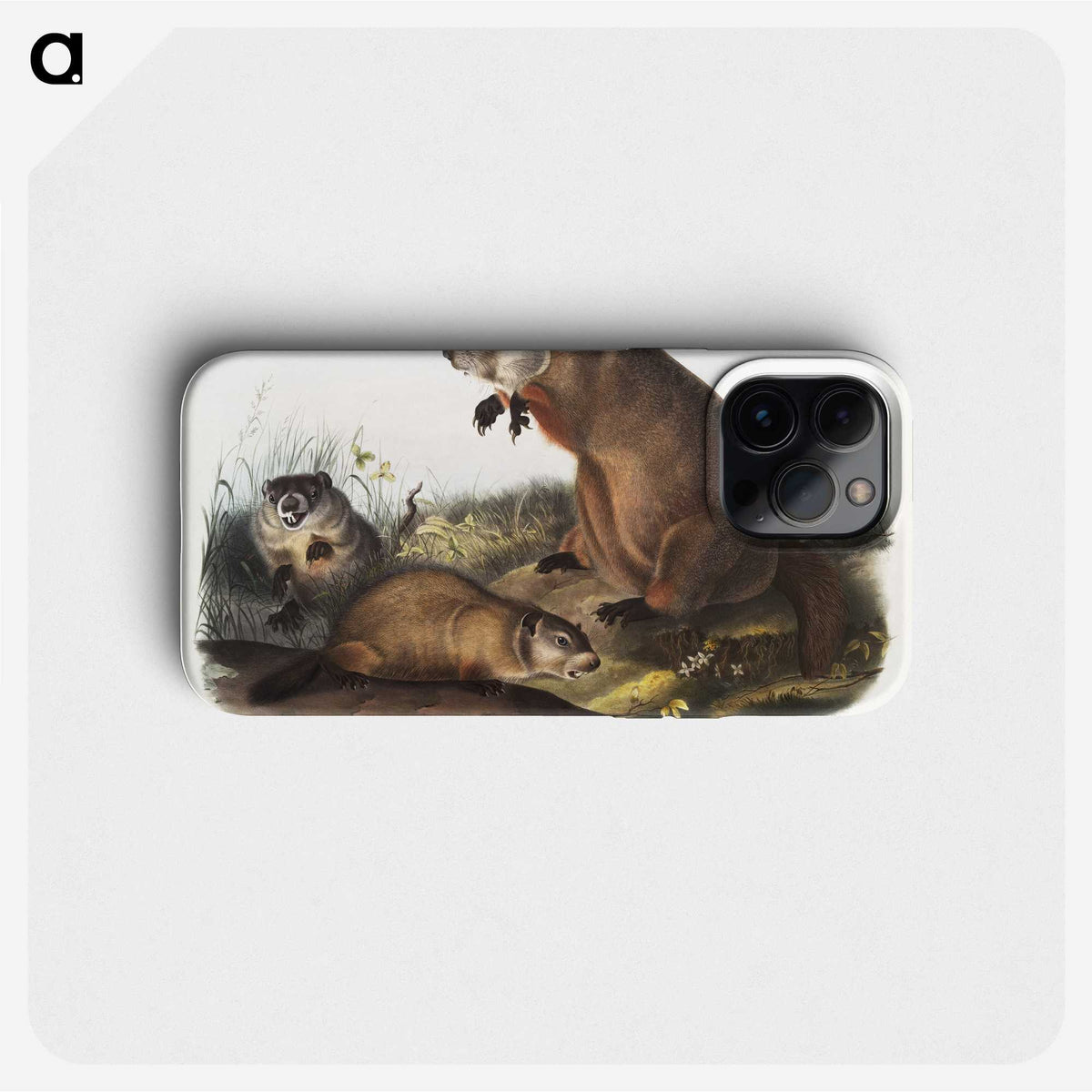1-41_The-Viviparous-Quadrupeds_phone