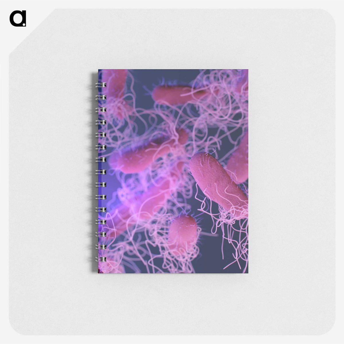 1-42_COVID-19_memo
