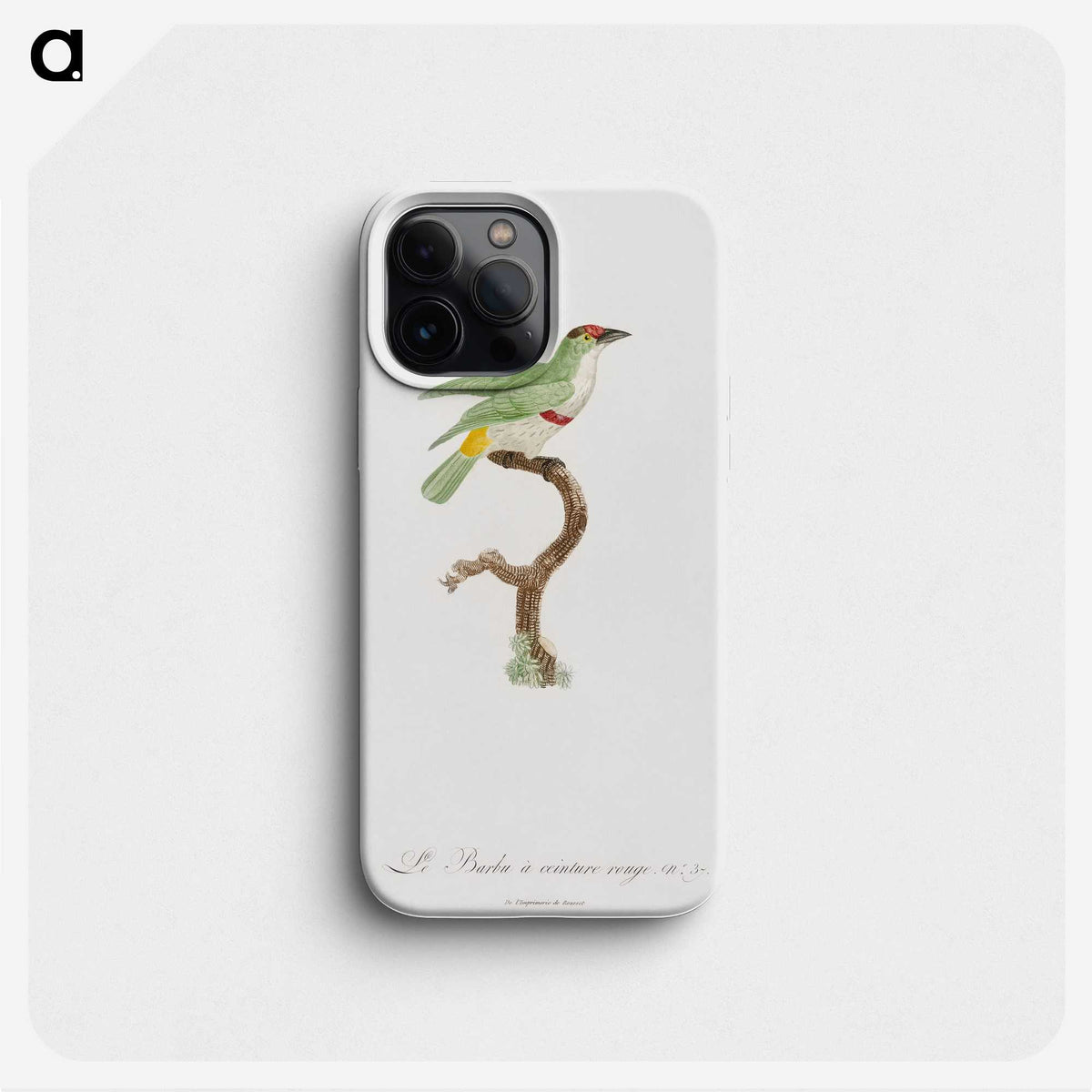 1-42_Des-Oiseaux-de-Paradis_phone