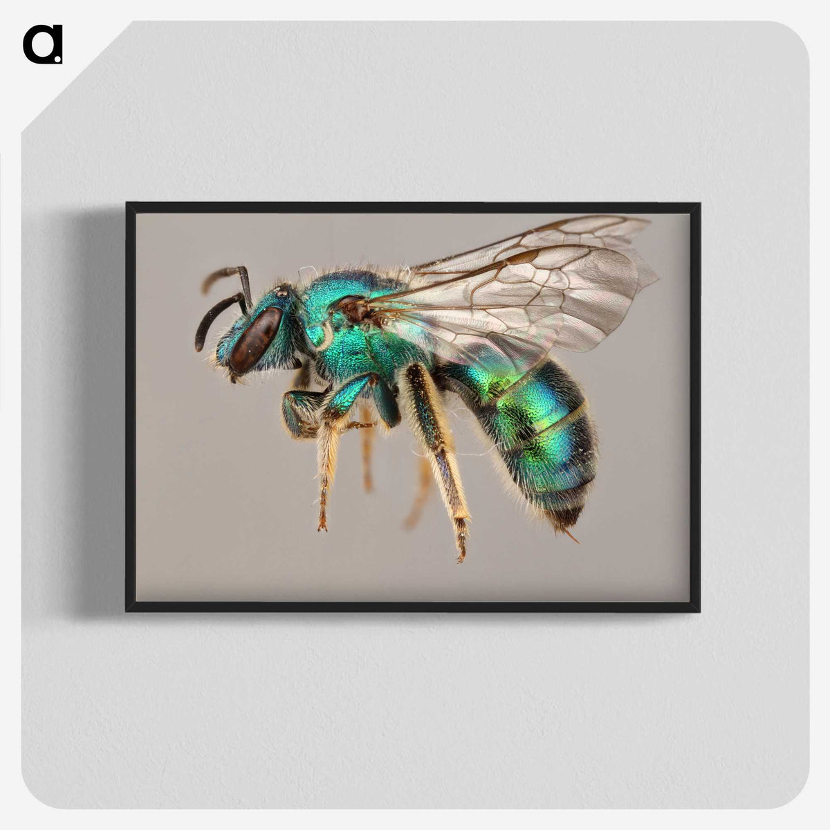 1-42_Insects-Unlocked-Project_blk-crop