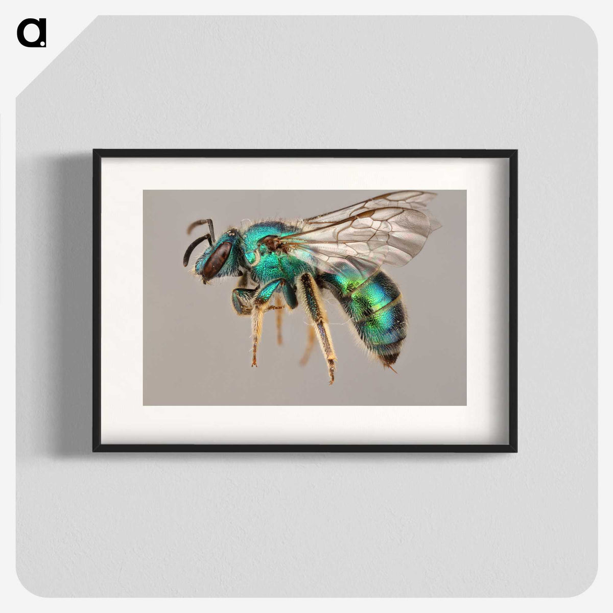 1-42_Insects-Unlocked-Project_blk