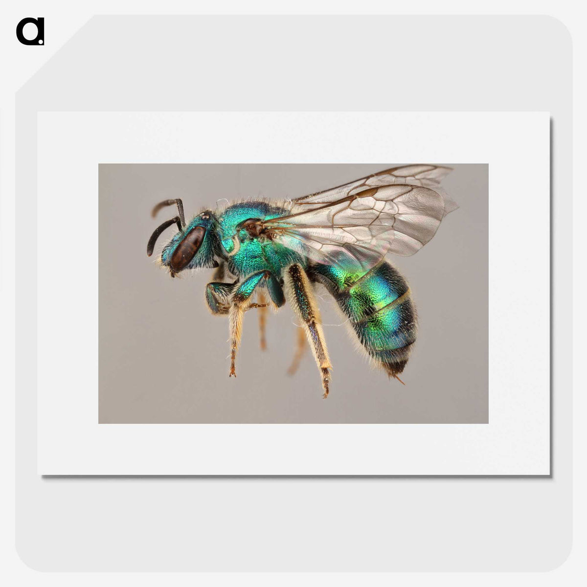 1-42_Insects-Unlocked-Project_picture