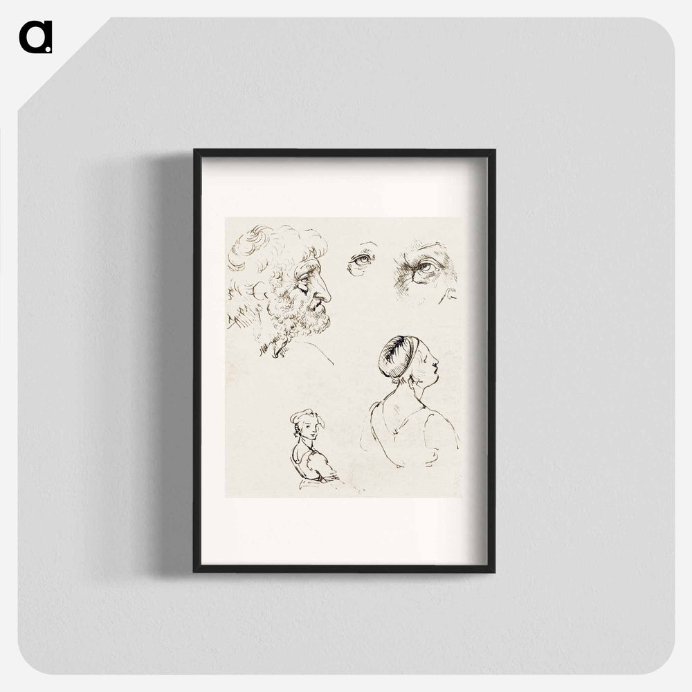 Sheet of Studies - Leonardo da Vinci Poster.