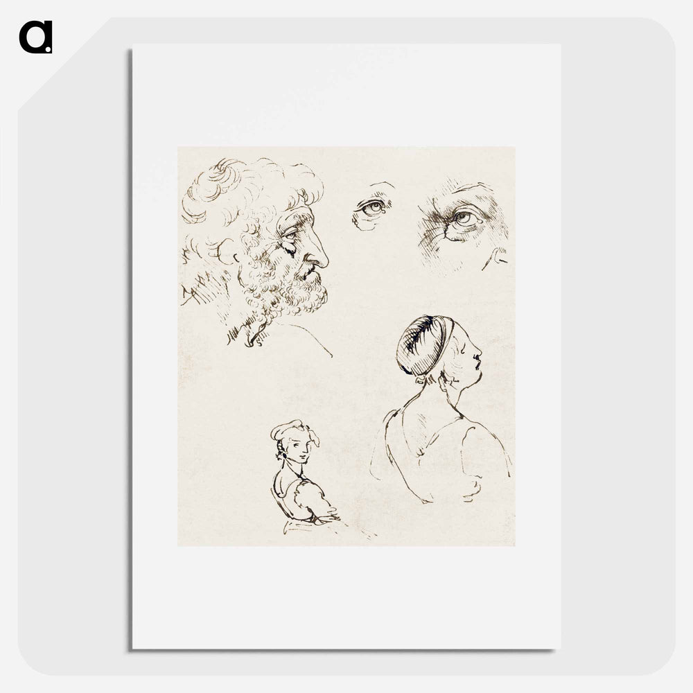 Sheet of Studies - Leonardo da Vinci Poster.
