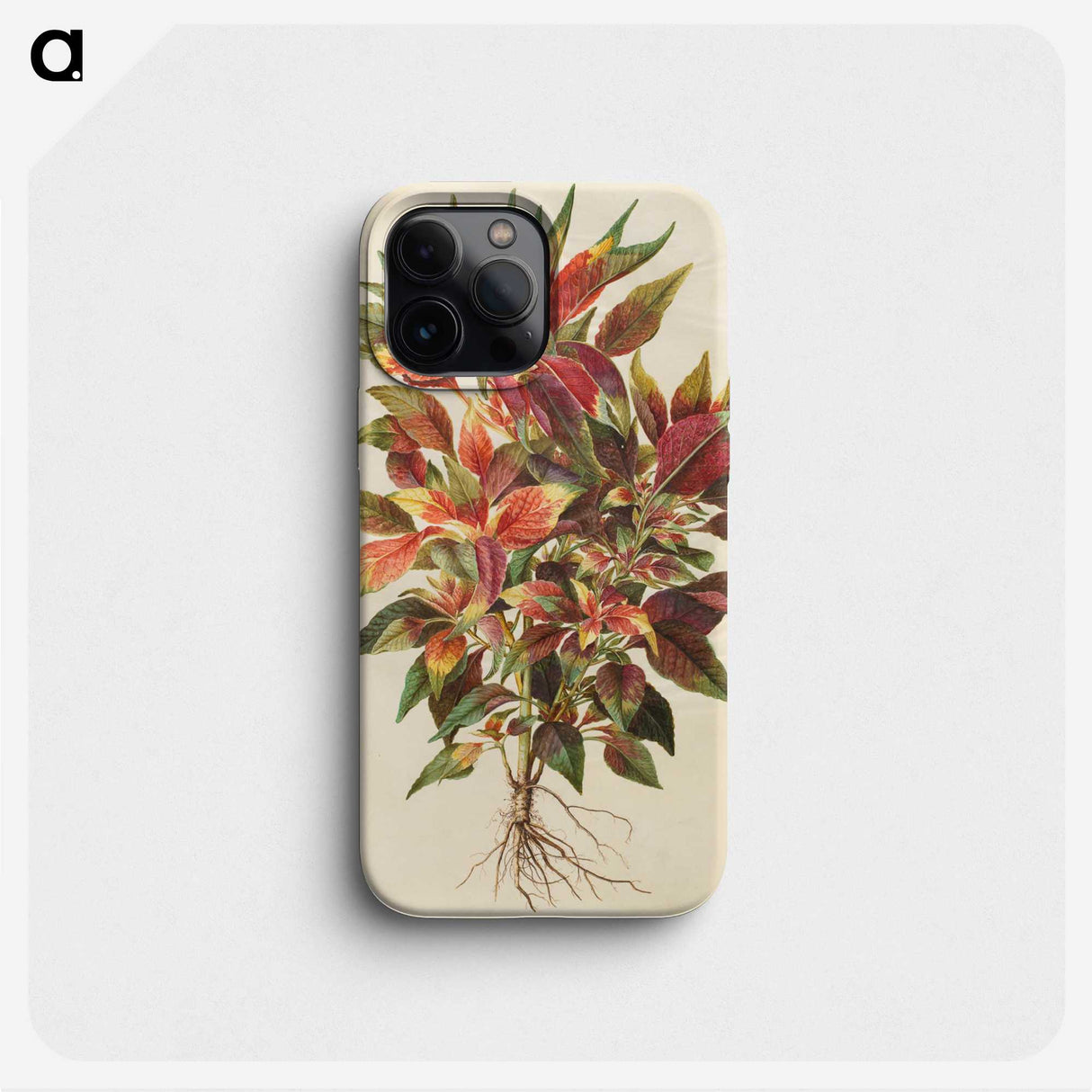 1-42_Maria-Sibylla-Merian_phone