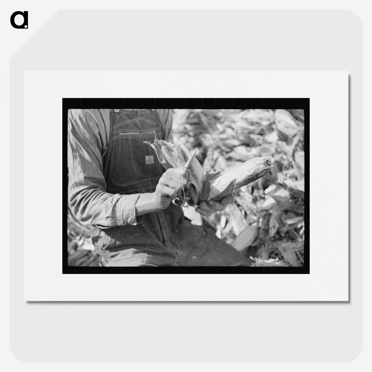 1-42_Marion-Post-Wolcott_picture