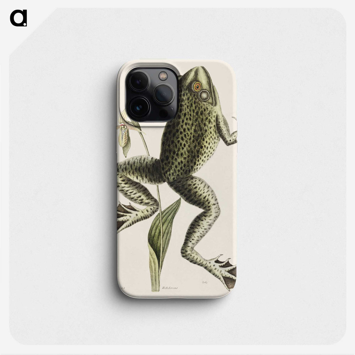 1-42_Mark-Catesby_phone