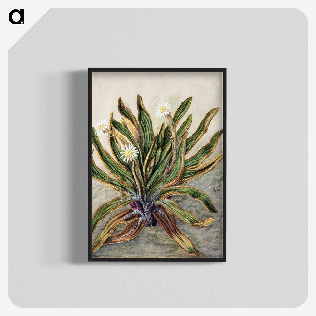 1-42_Native-Flowering-Plants-of-New-Zealand_blk-crop