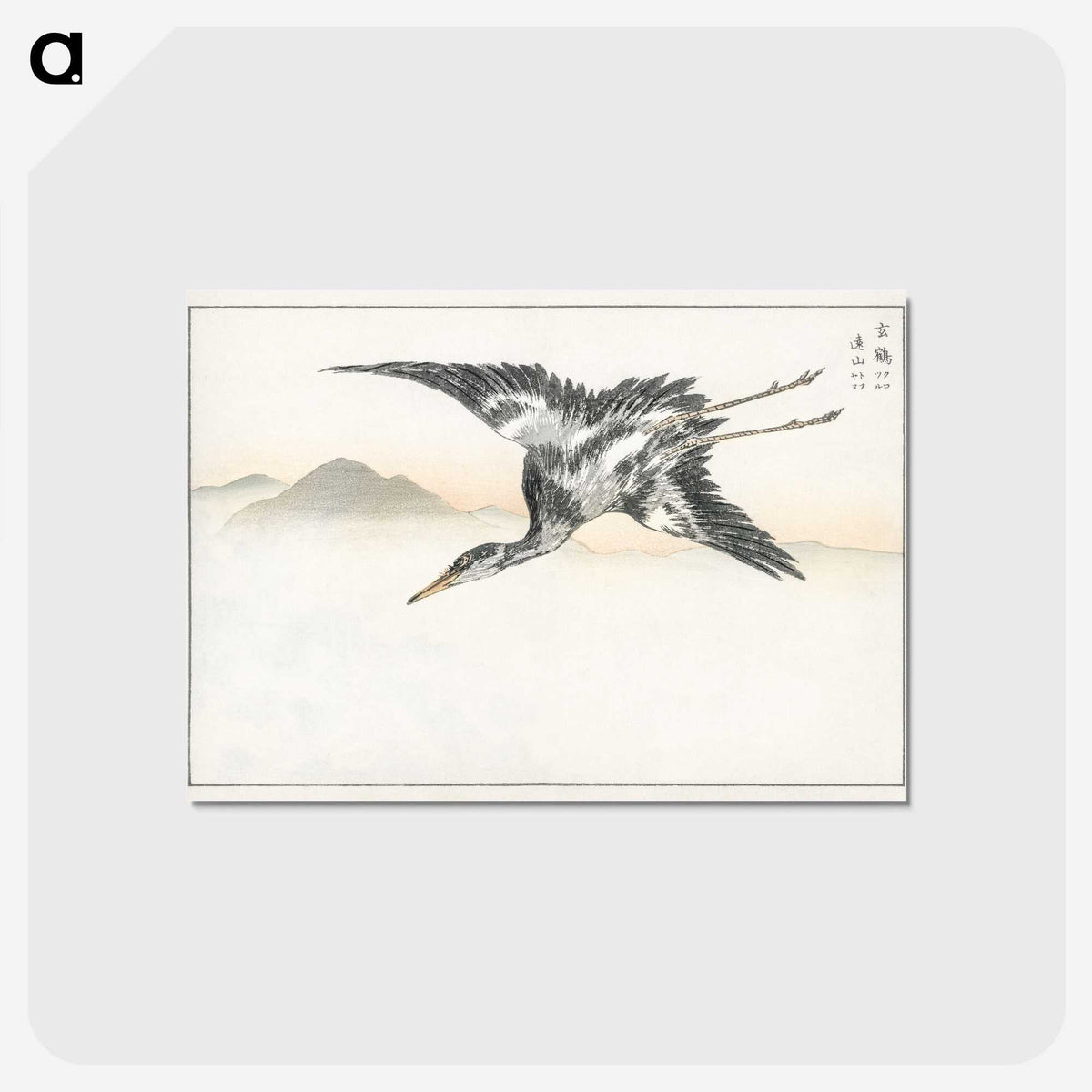 1-42_Pictorial-Monograph-of-Birds_postcard