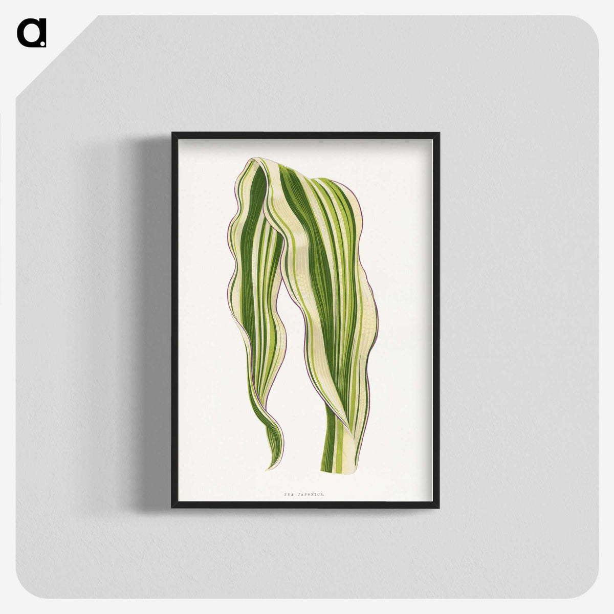 1-42_Plants-with-Colored-Foliage_blk-crop