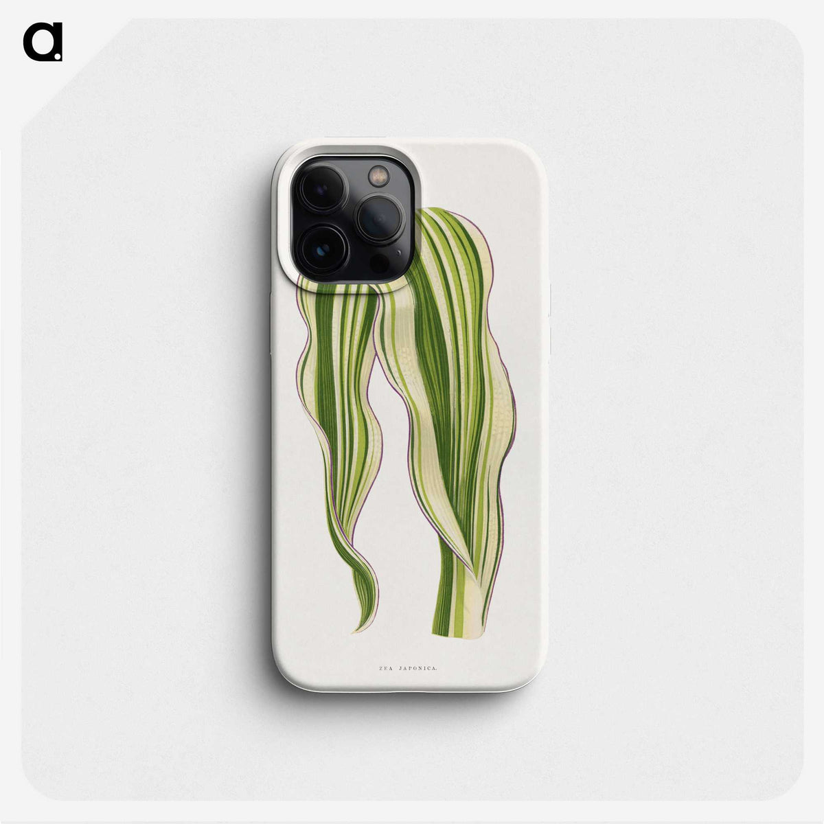 1-42_Plants-with-Colored-Foliage_phone
