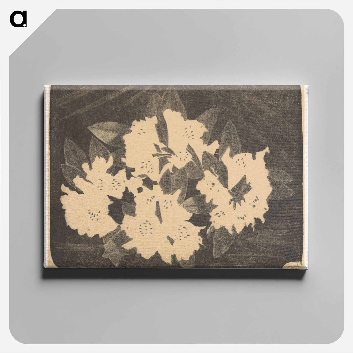 Rhododendron
- サミュエル ジェスルン Canvas.