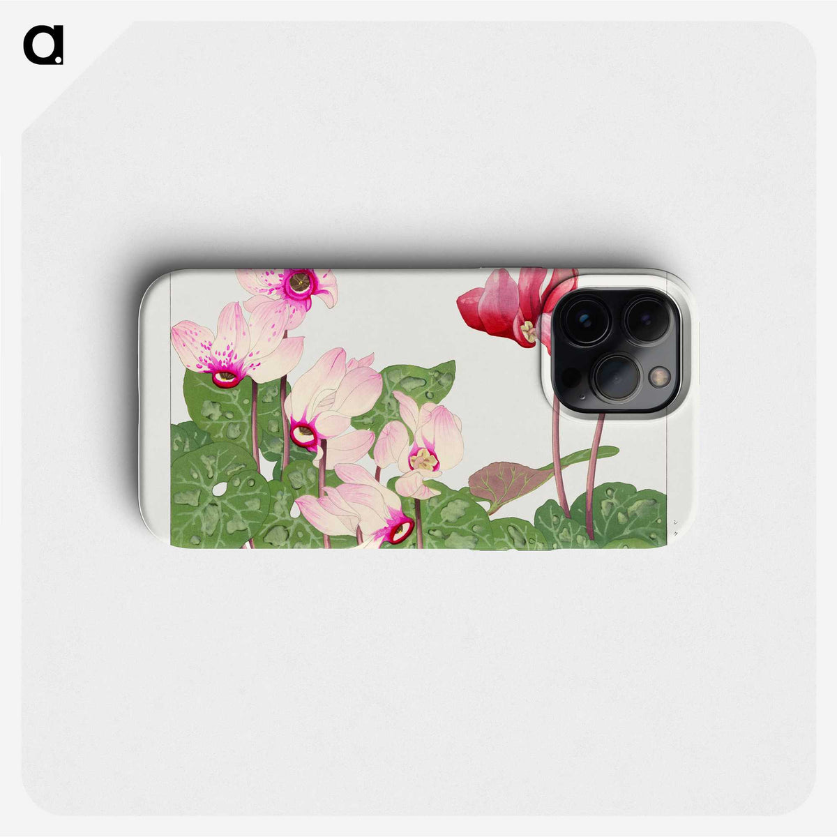 1-42_Seiyo-Soka-Zufu_phone