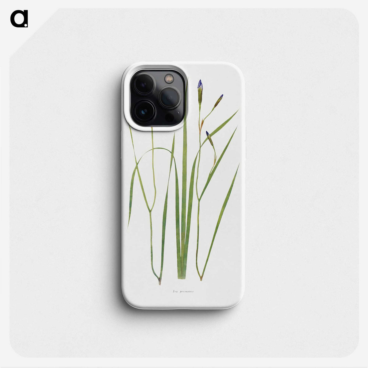 1-42_The-Genus-Iris_phone