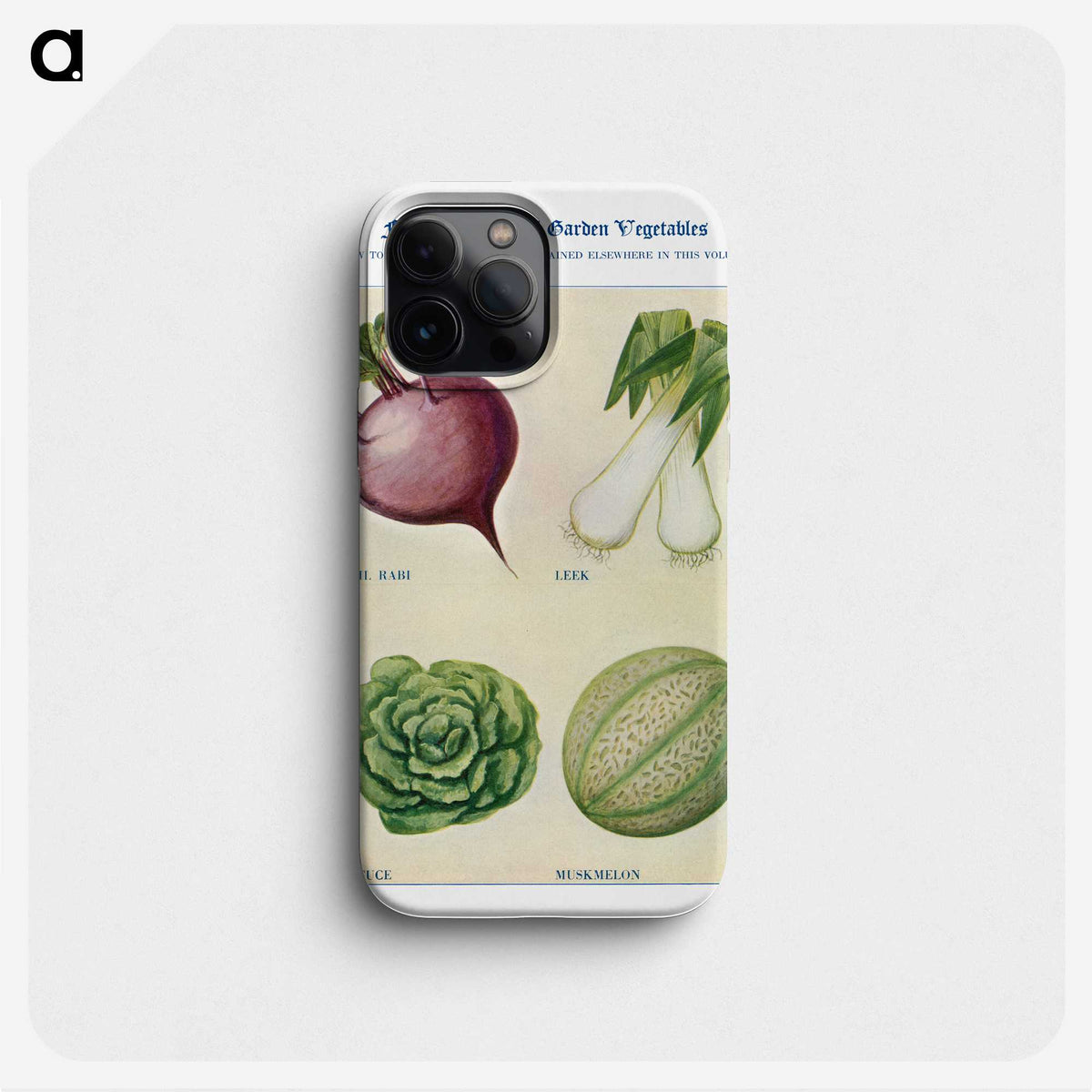 1-42_The-Open-Door-to-Independence_phone