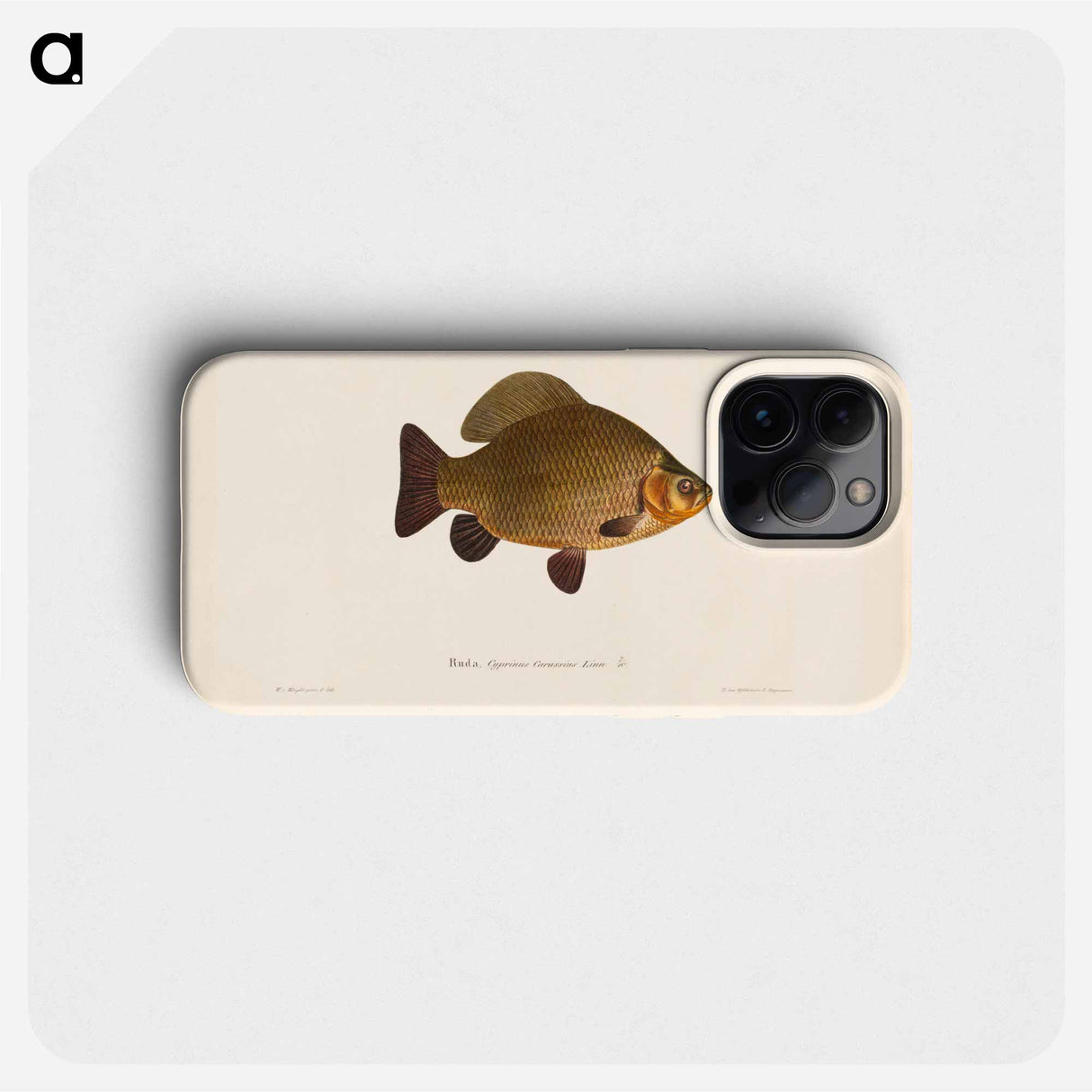 Crucian carp - Wilhelm von Wright Phone Case.